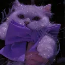 @ C A T  // shinycats  Icon