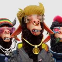 Alpha Herd - Llamas Unite