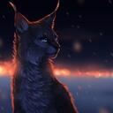 FERALS | a feral animal role-play server Discord Server Icon