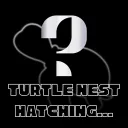Lost Turtle
