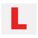 Learning to Drive Server Icon
