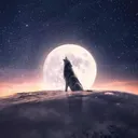 𝙇𝙊𝘽𝙄𝙉𝙃𝘼 𝘿𝙊 𝙂𝙍𝘼𝙐