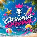 🌴Okinawa.peace🌴
