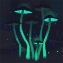 Mostly Dead Server - Agari-Sobin's icon