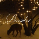 Discovery icon for ❄🕰 ∿ ✺　umber  decor  ₊ ‧  ⟢ Discord server