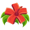 Hibiscus Creative Studios