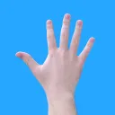 Hands of Sol