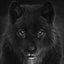 The Wolve's Den