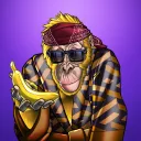 Orangutan Mile High Club
