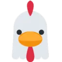 Chicken Coop