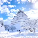UoA(30)