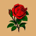 Fallen Rose🌹