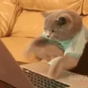 Game Patching
