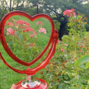 : Ì—Ì€âž› love land