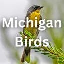 Michigan Birds