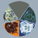 Minecraft Civilizations