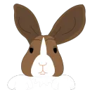 Flopsy's BunnyWonderland