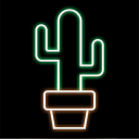 🌵CryptoCacti🌵