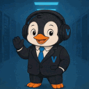 🚀 | VelocityHost - DDoS Protection avatar