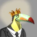 Fancy Toucans
