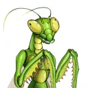 Mantis Farm
