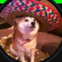 Wet_Wombat’s Twitch Server!