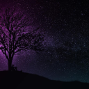 𝒯𝐻𝐸 𝒞𝐻𝐼𝐿𝐿 𝒫𝒜𝑅𝒜𝒟𝐼𝒮𝐸