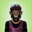 Solana Monkey Apes