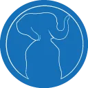 Stereotyped Elephant World