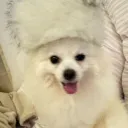 Bun