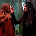 18+ Talder Shippers