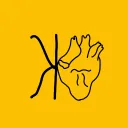 СПН:ІФ КНУ - DISCORD
