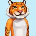 Tiger Combat Community