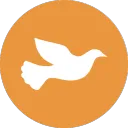 Moonbird Finance