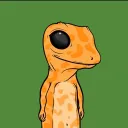 Crypto Gecks
