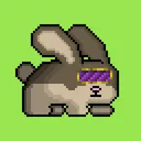 Genesis ZOO (Bunnies and Bears)