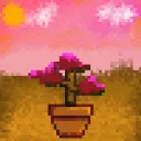 Solana Saplings