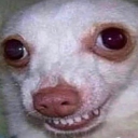 EVERYONES server