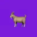 Goaty Coin