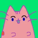 Pudgy Cats