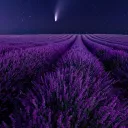 ~☆ Provence ☆~