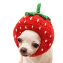 Fondy's Funhouse's icon