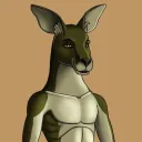 AlgoKangaroo