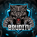 Discovery icon for BrudiTV Community Discord server