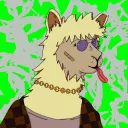 Sol Alpacas