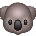 Boujee Koala Club