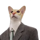 business