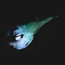 Estaria