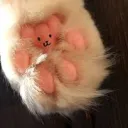 Le QG des patounes
