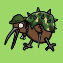 Kombat Kiwis
